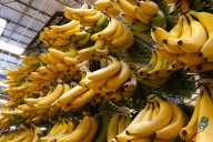 Yes, we have your bananas! Amazon expands same-day perishable delivery service