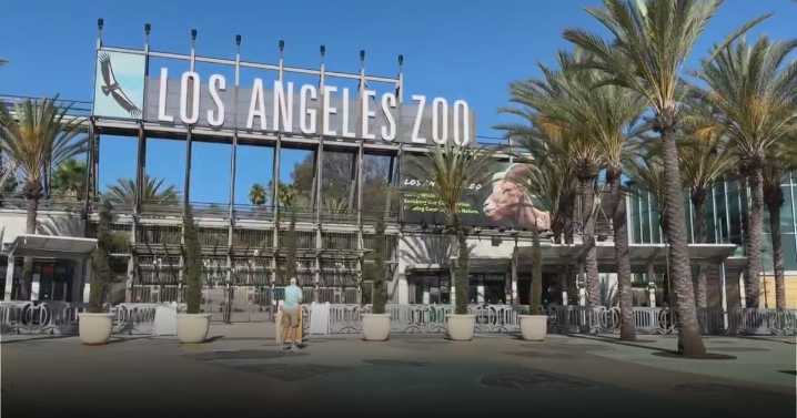 Los Angeles Zoo debuts new wildlife tracking station