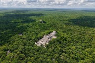 Sheinbaum celebra la firma del acuerdo con Belice y Guatemala para proteger la selva maya