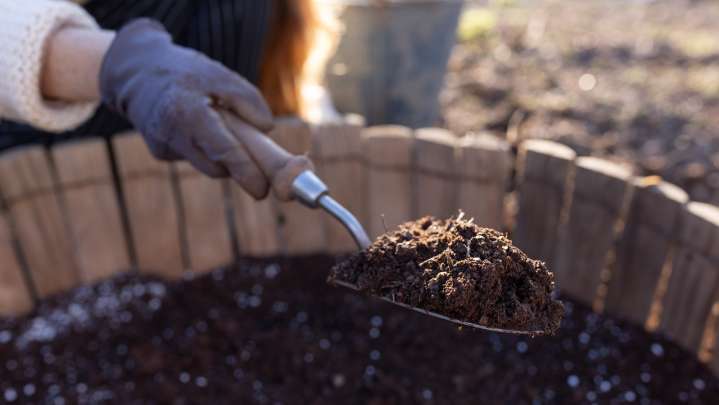 The Soil DIY Your Raised Garden Bed Is Begging For