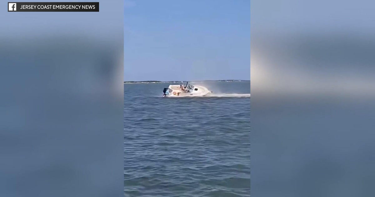 Whale dead after striking boat in Barnegat Bay, New Jersey; passenger thrown overboard, police say