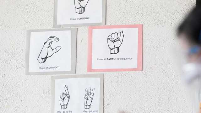 Expert gives advice for teachers, students on sign language in the classroom