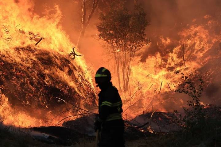Europe is burning due to forest fires and high temperatures.