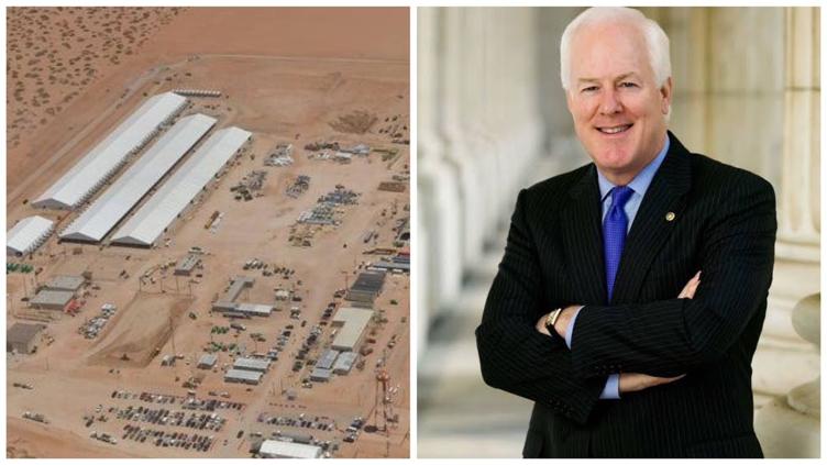 Visitará senador Cornyn mega-centro para migrantes en Fort Bliss