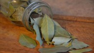 Dónde colocar hojas de laurel en casa para atraer la buena suerte y que no haya cucarachas