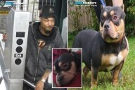 NYC straphanger snatches sleeping passenger's dog on Bronx subway