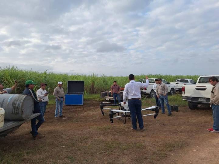 Reforzarán control de saltones adultas