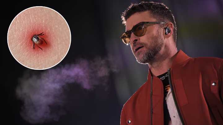 Garrapatas y Lyme: la enfermedad que afecta a Timberlake