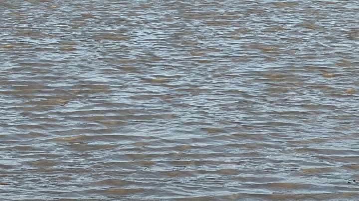 Montgomery County: Adult goes missing in Lake Conroe, officials say