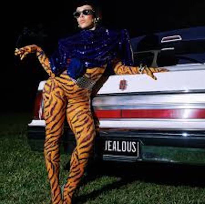 Doja Cat Drops “Jealous Type” as She Teases Upcoming Album Vie