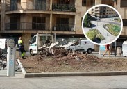 El cambio de árboles para la histórica plaza de Salamanca que nació sin jardines