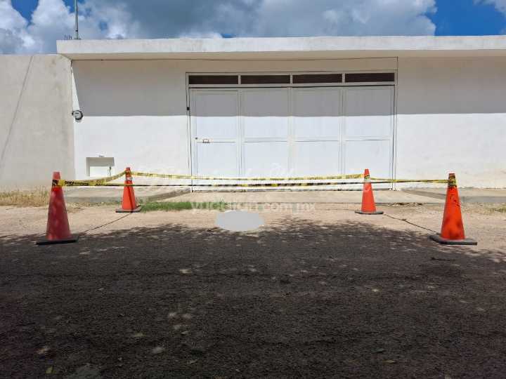 Fallece una perrita atropellada en Tizimín; la dueña denuncia al conductor de una camioneta