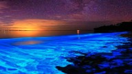 Fenómeno natural: las increíbles olas de mar que brillan en la oscuridad