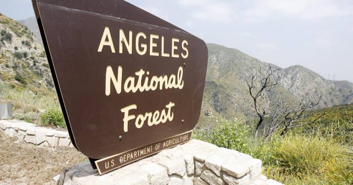 Woman's body found dumped in SoCal forest. Her husband fled the country with their kids, authorities say