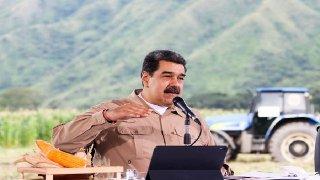 Jefe de Estado: Producción agrícola tiene un crecimiento estable anual del 4,5 al 5 %