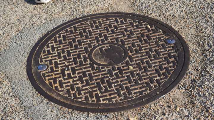 The History Of Sewage Is Stinkin' Impressive