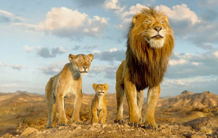SURREY EVENTS: See 'Mufasa: The Lion King' under the stars & more this week
