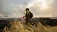 Denuncian los bomberos forestales: "Caos, falta de medios y jornadas de hasta 21 horas"