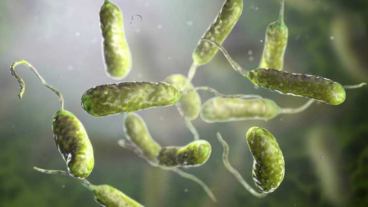 Bacteria ‘come carne’ deja seis muertos en Luisiana