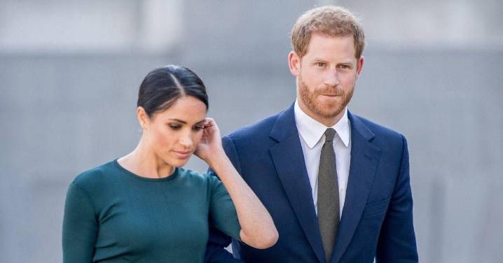 EXCLUSIVE: Harry and Meghan's Royal Return Plan Slammed as 'Crazed'