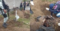 Madres Buscadoras hallan restos humanos escondidos en cementerio de Tlaquepque, Jalisco