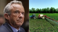 What draft of 'MAHA' report says about pesticides