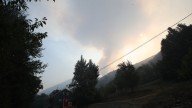 Expertos estiman que los incendios han calcinado ya 97.000 hectáreas en León