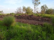 Halla restos óseos de origen humano en Sierra de Guadalupe