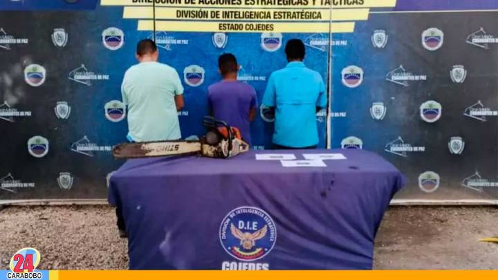 Tres detenidos por tala y aprovechamiento ilegal de árboles