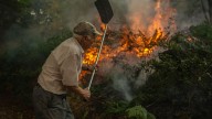 Así evolucionan los incendios en España: más de 9.000 personas desalojadas y cuatro ingresados por el fuego