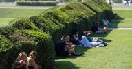Child, four, dies as 12 red alerts issued and heatwave spreads