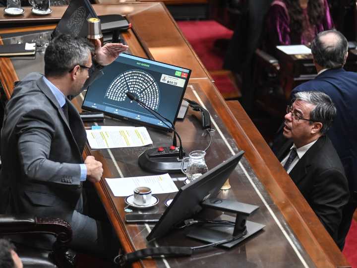 La oposición va por otro golpe a Milei en el Congreso: busca voltear los vetos del Presidente