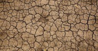 Why climate change is making salmonella outbreaks more common