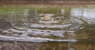 DPW investigates sewer back-up after summer storm 'decimates' Heritage Estates homes