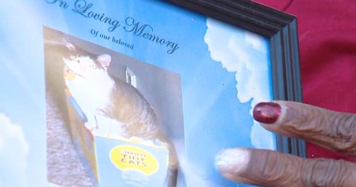 Maryland woman devastated as Baltimore County Police investigate pet cremation scam