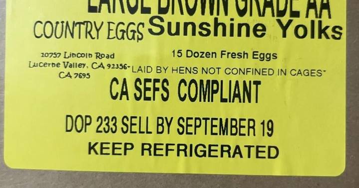 Country Egg's 'Sunshine Yolks' eggs recalled for causing Salmonella