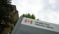 Canadian Food Inspection Agency recalls more items containing pistachio in Quebec