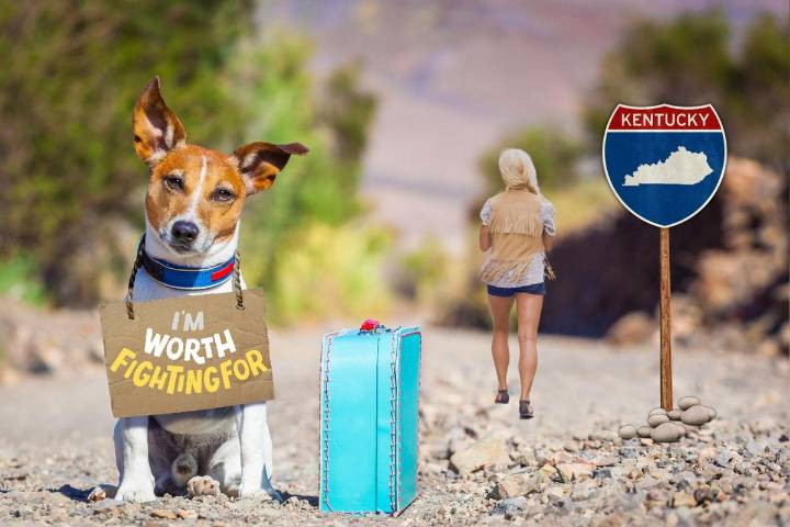 Is It Illegal to Abandon a Pet in Kentucky? What the Law Says