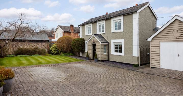 UK households told to pour washing powder on driveways