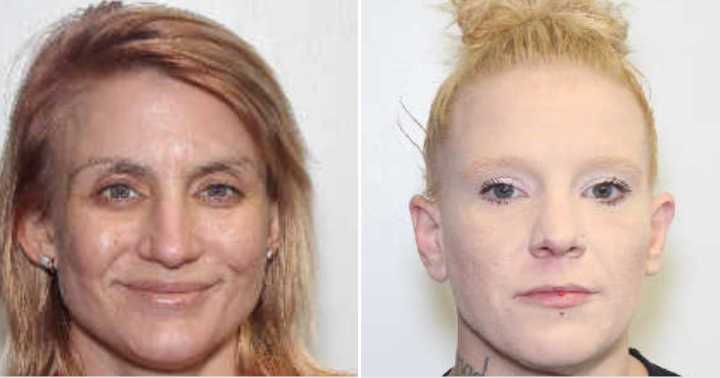 2 women's bodies found in South Carolina clearing, homicide investigation underway