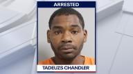 Florida man ‘frustrated with work’ fires shots into air with stolen gun: PCSO