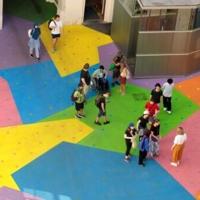 Keeping cool with colours -- Vienna museum paints asphalt to fight heat
