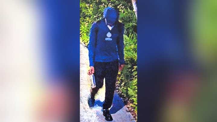 El sospechoso de Attack Acid Chinatown pagó $ 290k por la ciudad