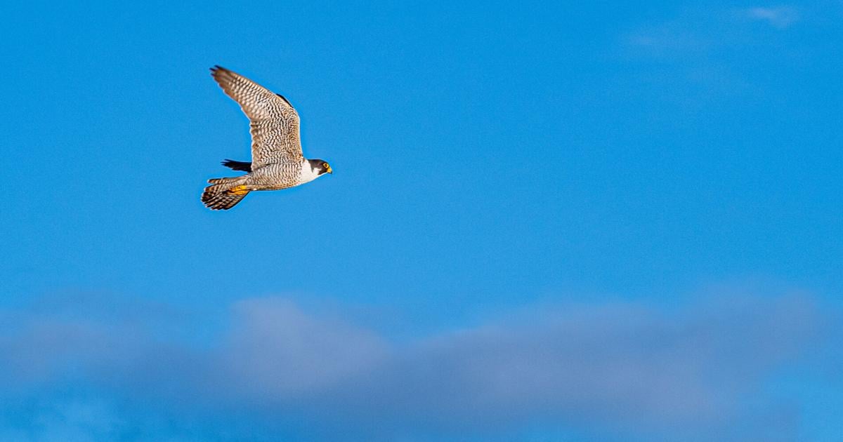 Hot weather through first few days of September, then gradual cooling