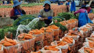 Comerciantes de Acomare preparados ante extorsiones