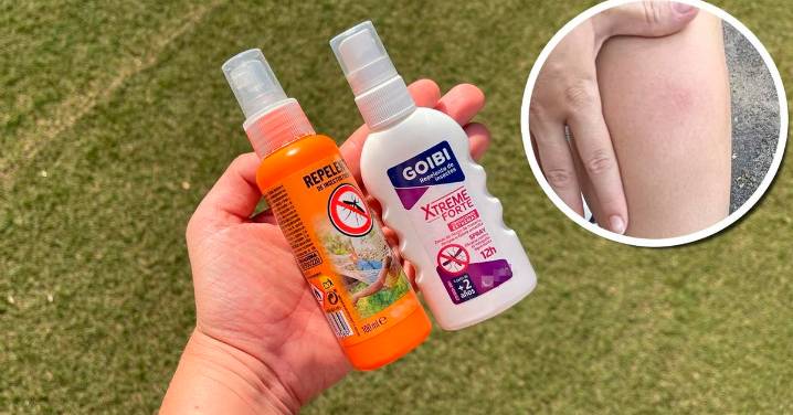 Precauciones ante la presencia del virus del Nilo en Mojácar y Pulpí