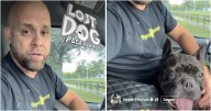 Berridy pide ayuda para devolver a un perrito