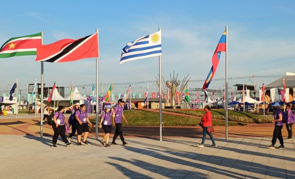 Los voluntarios: la fuerza violeta que sostuvo la fiesta panamericana