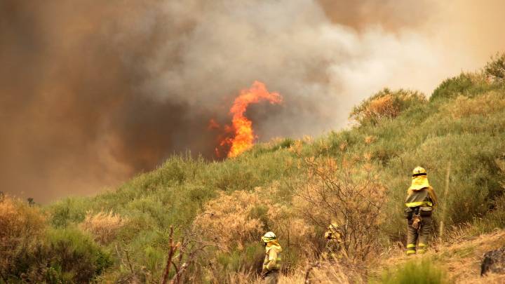 Casi una treintena de incendios activos, diez de ellos en nivel 2, mantienen a 5.650 personas desalojadas en 82 poblaciones de la Comunidad