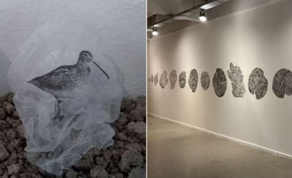 "Un mapa para lo frágil": inauguran una muestra en CABA con obras de bahienses y dorreguenses